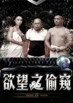 国产成人在线电影